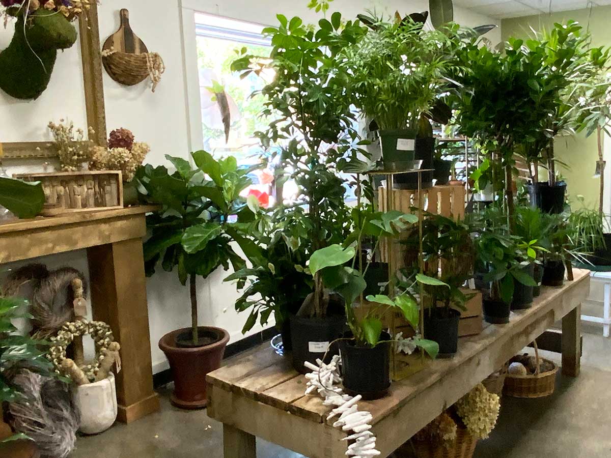 Floral Shop Website Design
