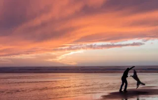 spring lake veterinary clinic website hero image